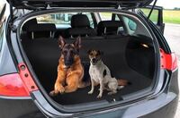 Nepropusna zaštitna presvlaka za auto za pse i mačke